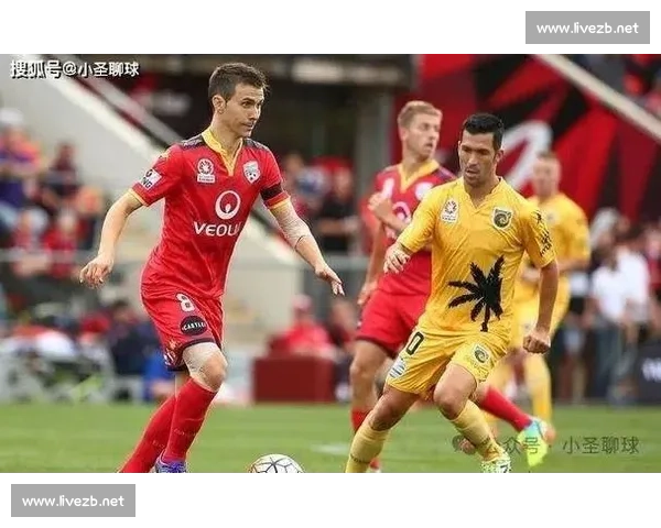 赛前战术博弈与球员状态全面解析前瞻观察焦点对决形势预测报告篇